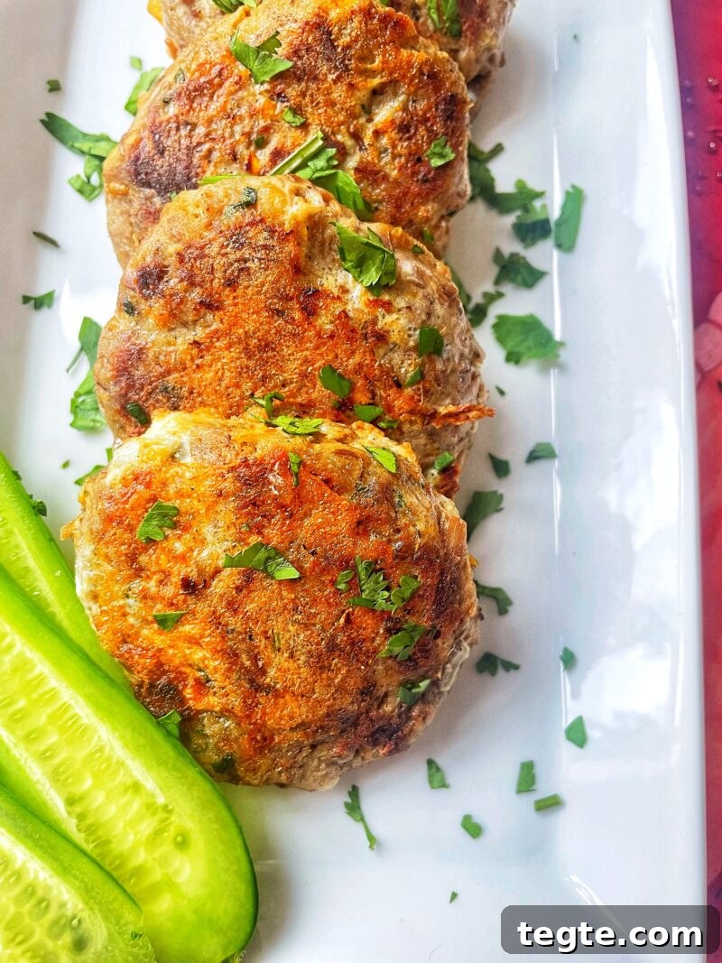 41+ Iftar Recipes for Ramadan Including Aloo Tikki Guide 12 Shami Kebab