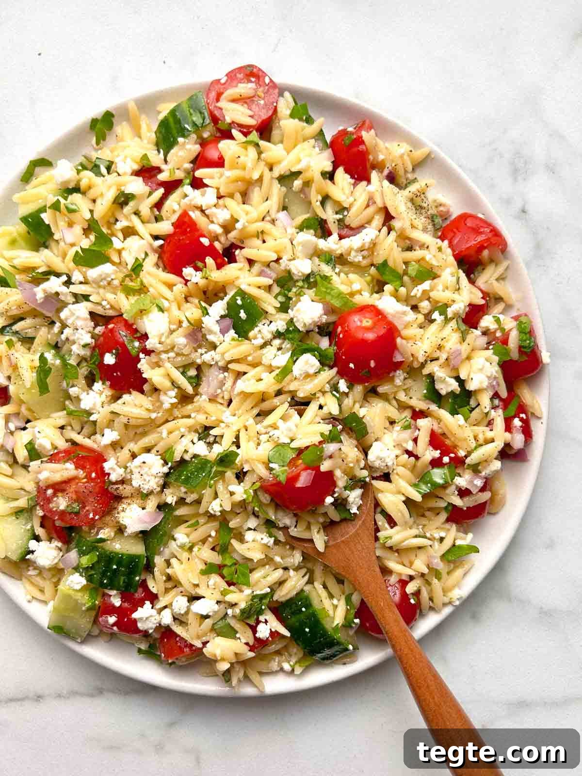 Mediterranean Orzo Salad with Lemon Herb Vinaigrette 2 plate of orzo salad with spoon sticking out of it.