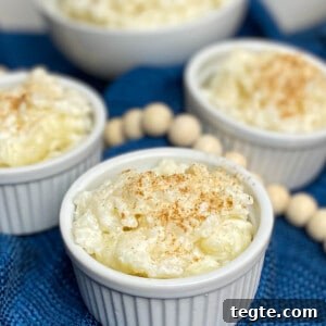Creamy Homemade Rice Pudding Recipe with Vanilla and Cinnamon 10 Finished pudding.