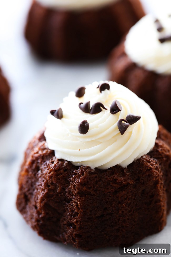 Mini Chocolate Bundt Cakes Recipe — Moist, Rich & Quick to Make 2 Mini Chocolate Bundt Cakes... These are an extremely moist chocolate cake with a delicious cream cheese frosting on top. It makes for an easy and tasty personal size treat!