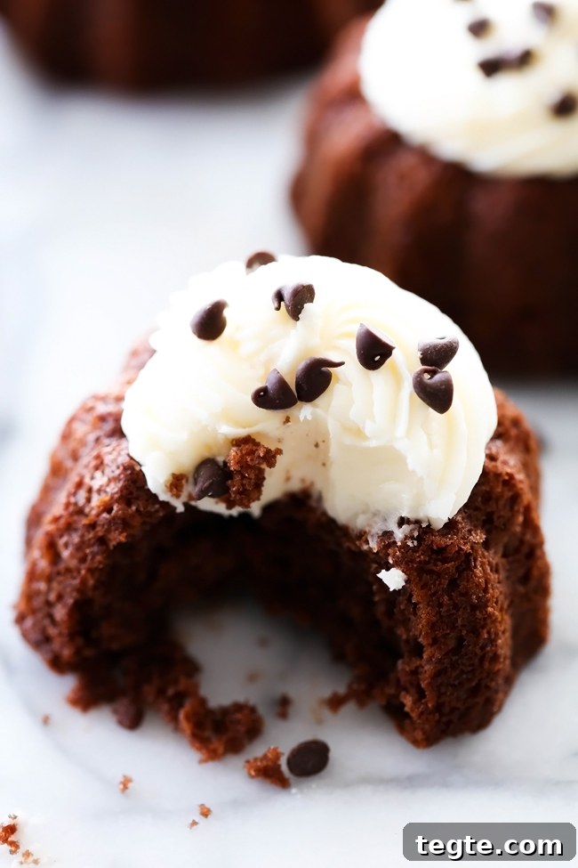 Mini Chocolate Bundt Cakes Recipe — Moist, Rich & Quick to Make 3 Mini Chocolate Bundt Cakes... These are an extremely moist chocolate cake with a delicious cream cheese frosting on top. It makes for an easy and tasty personal size treat!
