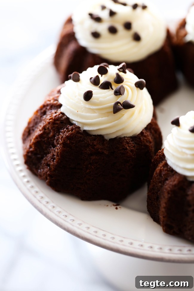 Mini Chocolate Bundt Cakes Recipe — Moist, Rich & Quick to Make 4 Mini Chocolate Bundt Cakes... These are an extremely moist chocolate cake with a delicious cream cheese frosting on top. It makes for an easy and tasty personal size treat!