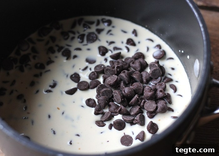 Chocolate Caramel Fondue Recipe for Dipping Fruits and Treats 5 chocolate chips, caramel sauce, and condensed milk in a pot.