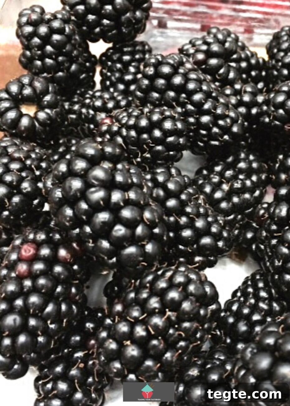 Creamy Blackberry Pie with Luscious Custard Filling 3 Fresh Blackberries