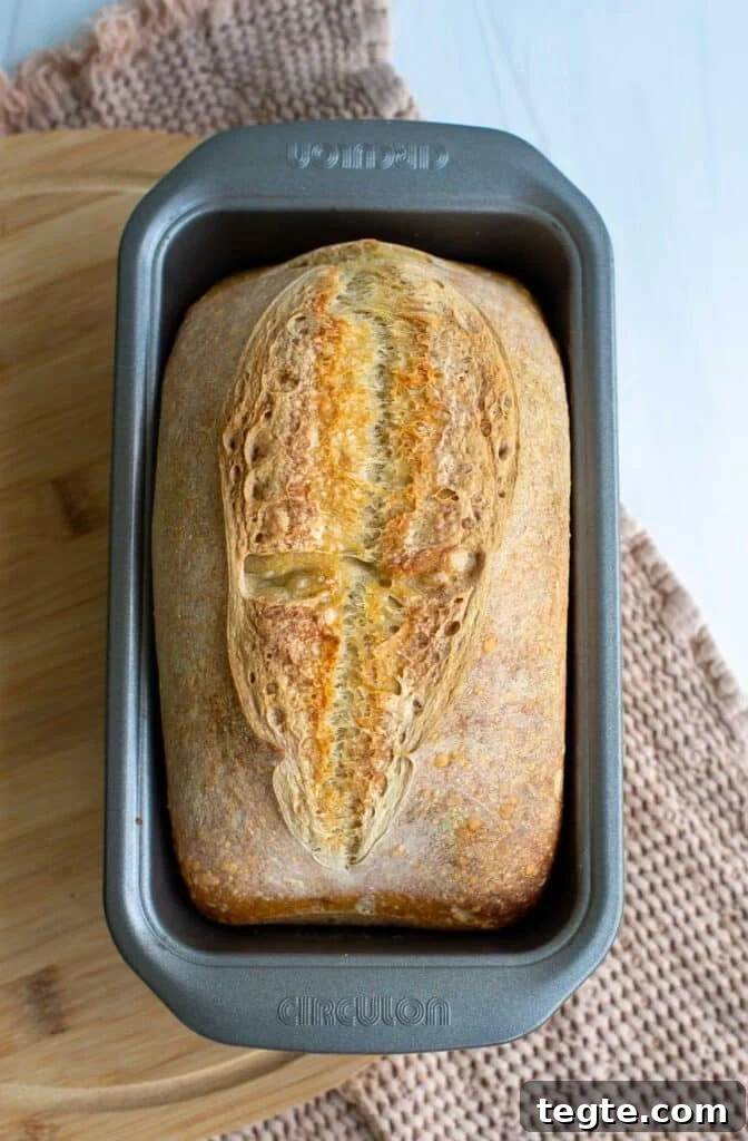 A loaf of sourdough bread in a loaf pan.