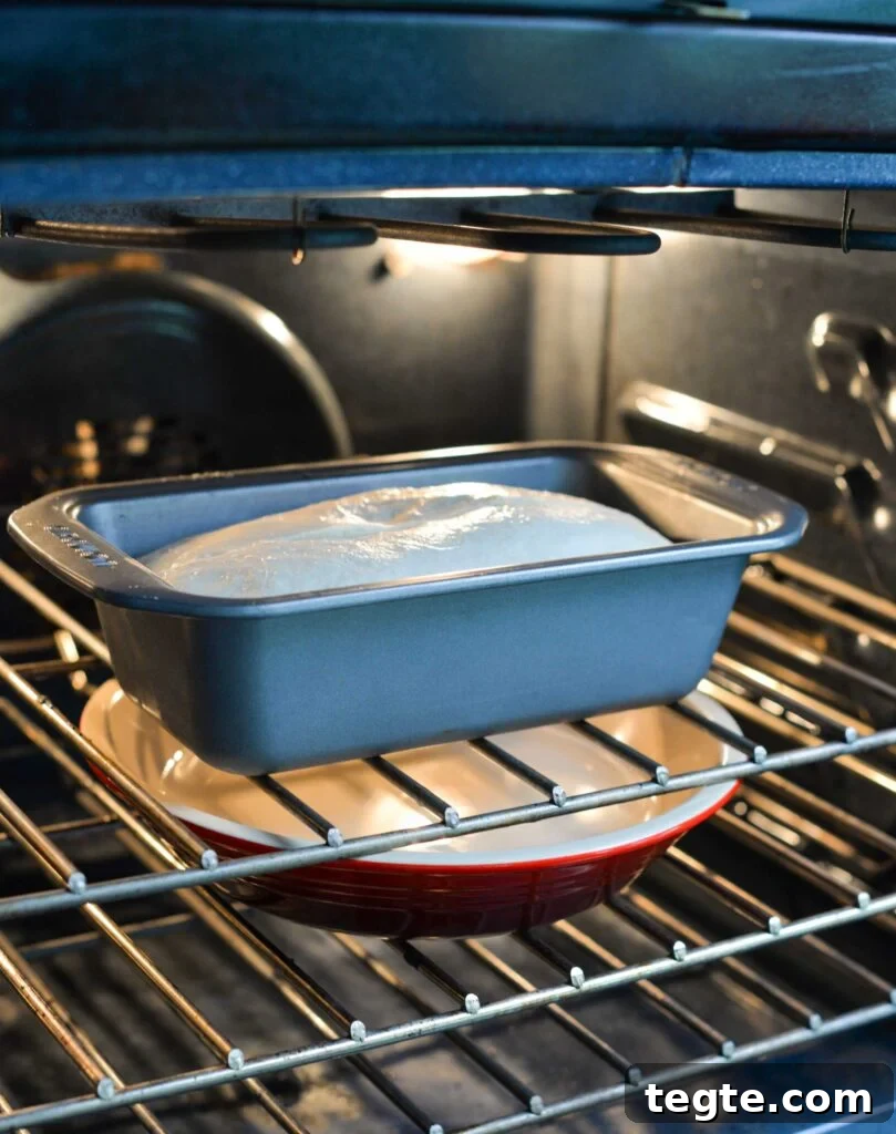 A loaf of bread in a loaf pan bakes in an oven with a pan of water on the rack below.