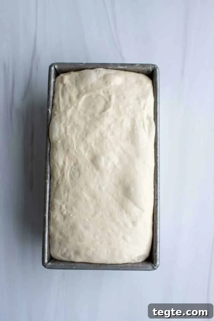 Dough in a loaf pan is jiggly and bubbly.