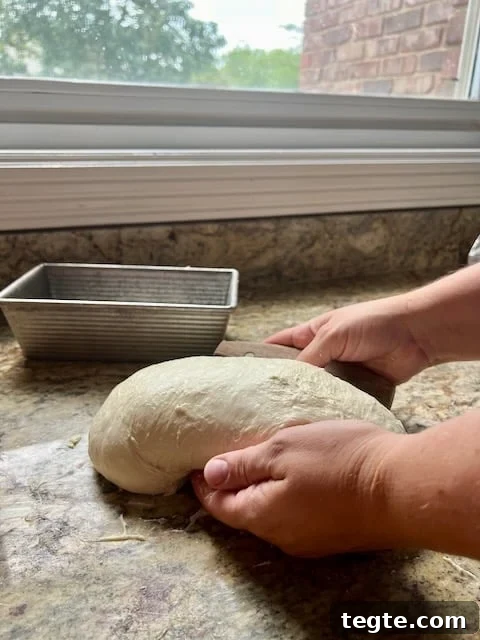 Hands use a bench scraper to lift and shape dough.