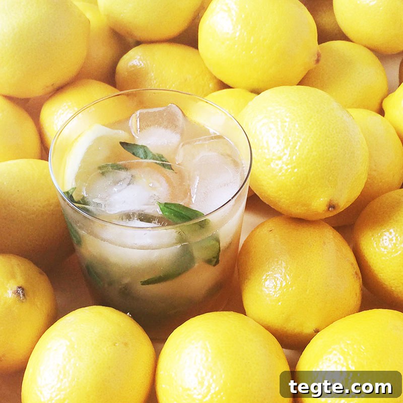 Refreshing Mint Lemonade Iced Tea Recipe for Summer Sips 5 Muddled Mint Lemonade Iced Tea recipe