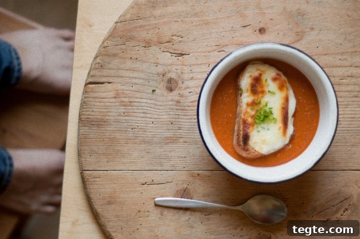 Roasted Tomato Soup Recipe