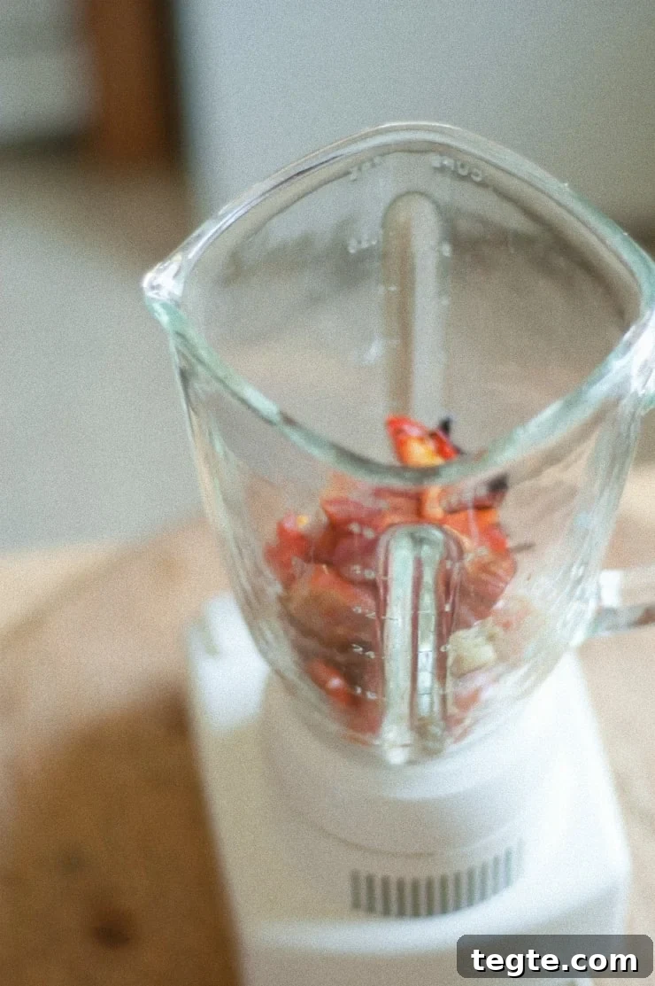 Roasted tomatoes in blender