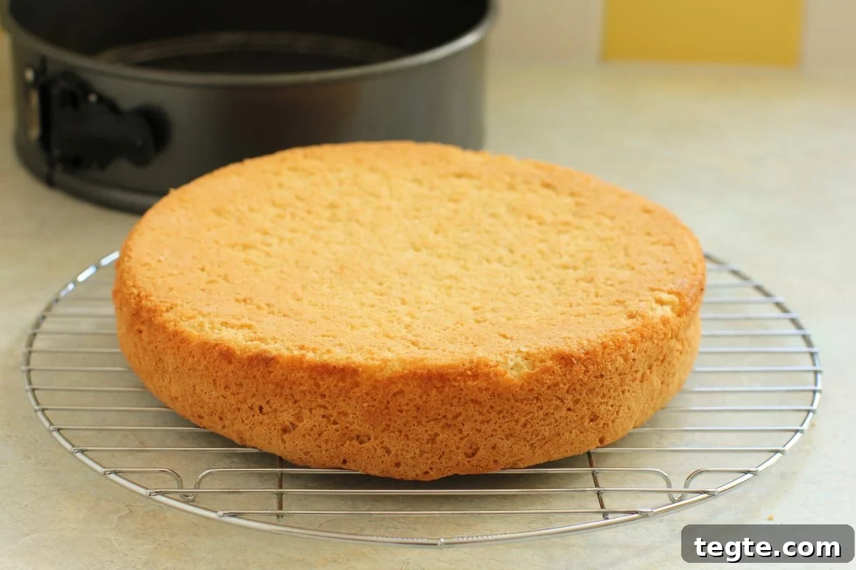 sponge cake on cooling rack.
