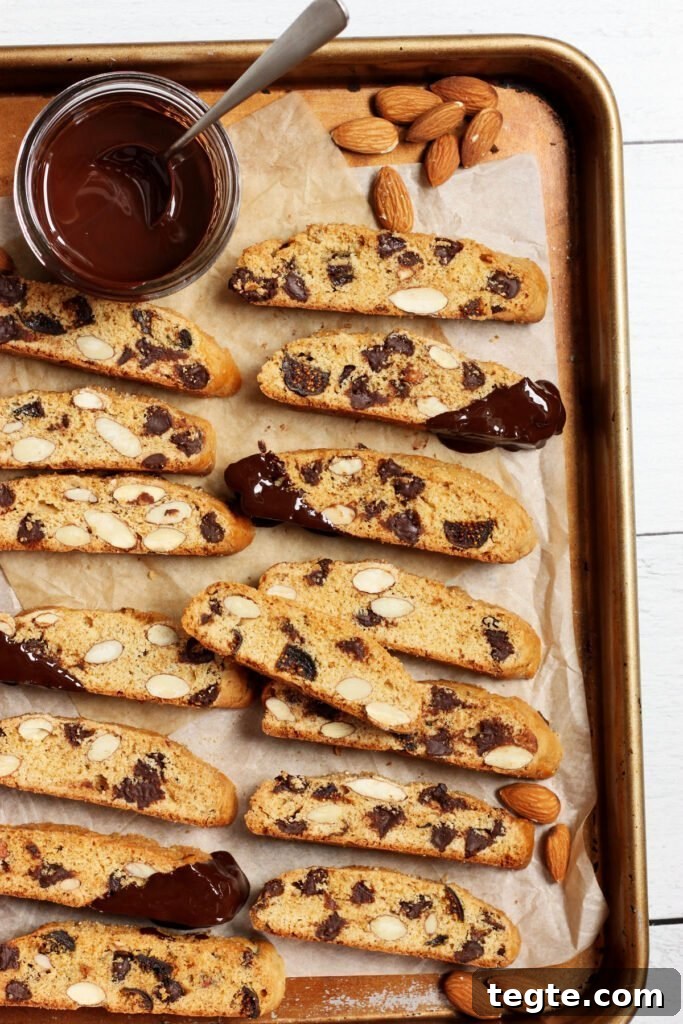 dark chocolate olive oil biscotti