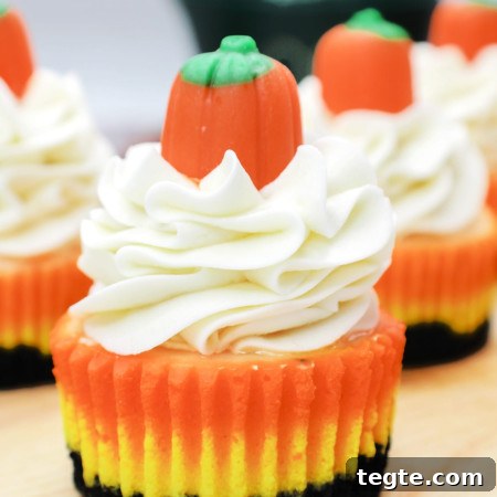 Mini candy corn cheesecake topped with whipped cream and a candy pumpkin