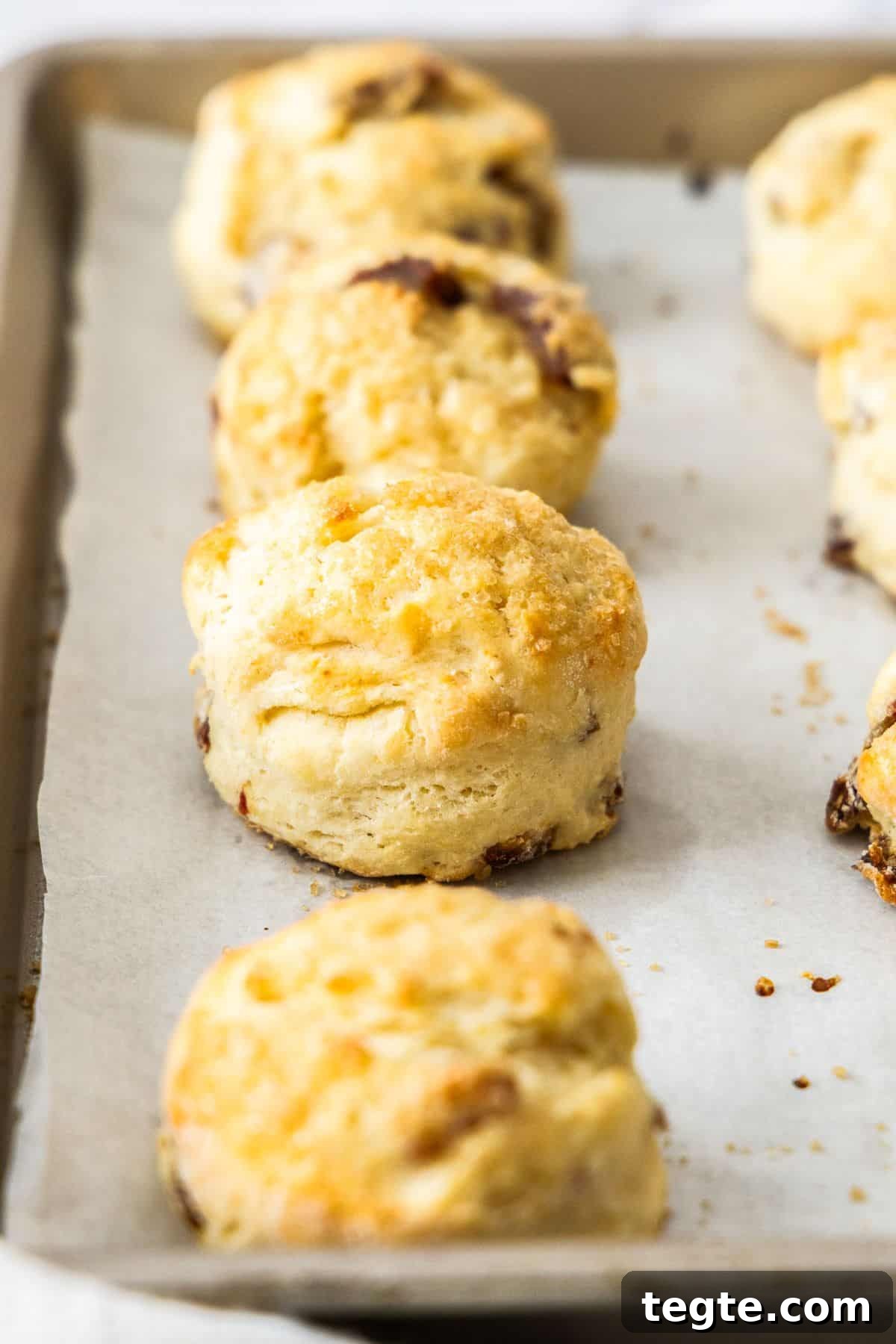 Chewy Date and Zesty Lemon Scones Recipe 2 Date and Lemon Buttermilk Scones on a baking paper lined baking tray.