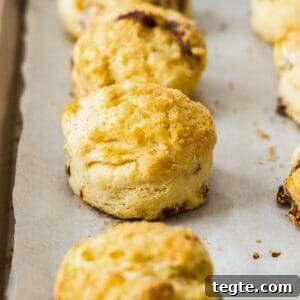 Chewy Date and Zesty Lemon Scones Recipe 13 Date and Lemon Buttermilk Scones on a baking paper lined baking tray.