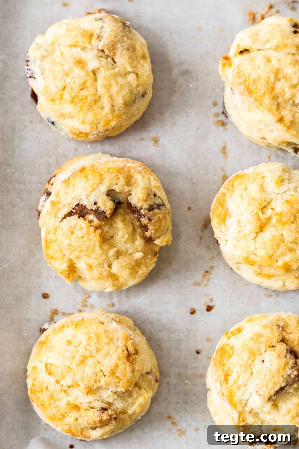 Chewy Date and Zesty Lemon Scones Recipe 4 Six Date and Lemon Buttermilk Scones on a baking paper lined baking tray.