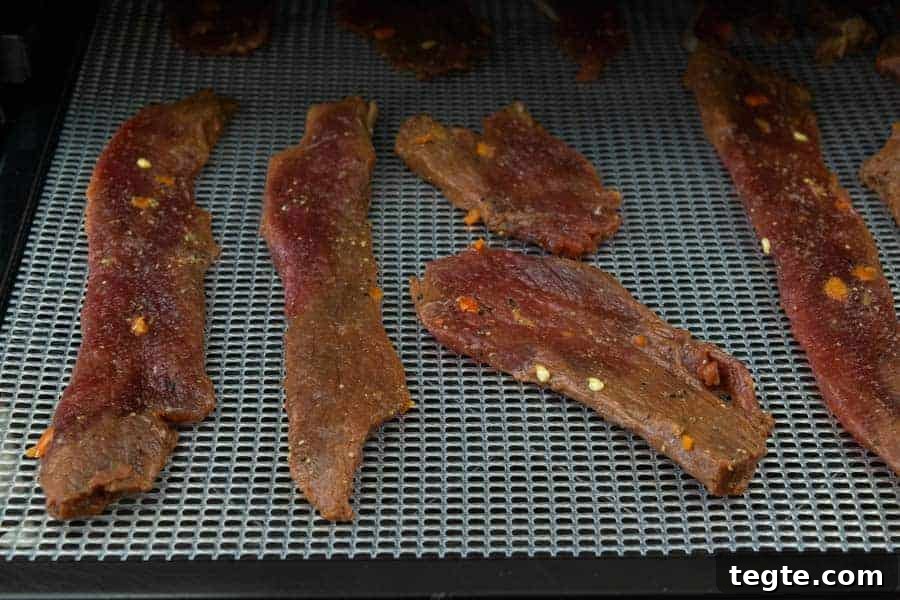 Drunken Spiced Venison Jerky Recipe 11 Habanero deer jerky on dehydrator trays