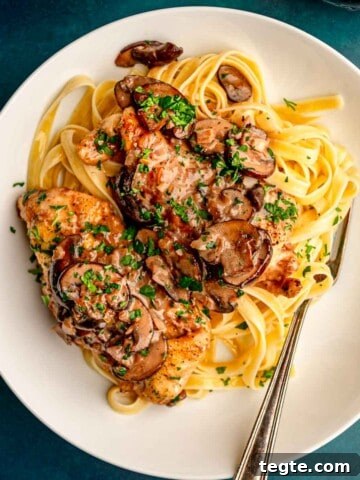 Fettuccine topped with chicken and mushrooms.