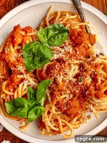 A plate of tomato sauce over spaghetti topped with basil leaves.