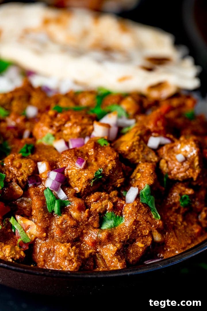 Close up pf slow cooked beef curry with coriander and red onion on top. Torn pitta bread in background.