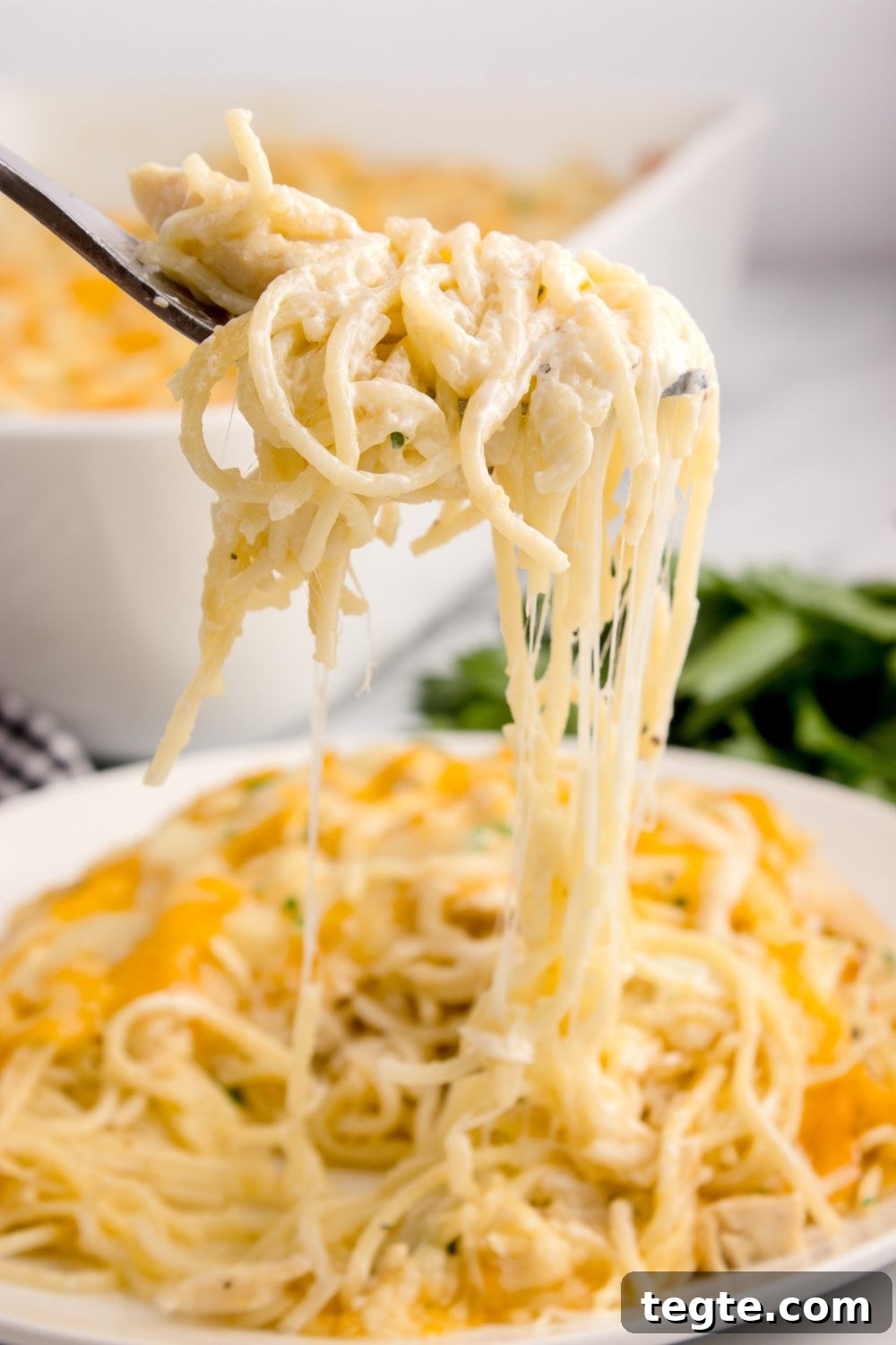 Chicken Tetrazzini on a plate being lifted up with a fork 