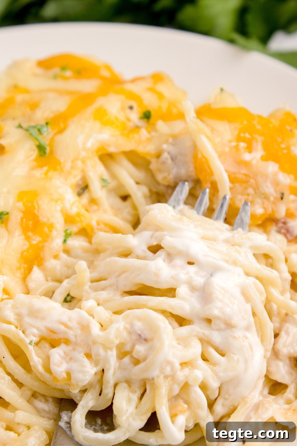 chicken tetrazzini casserole dished up on a plate with a fork full on a plate