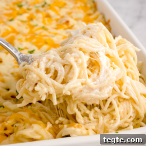Chicken Tetrazzini in a pan with a spoonful being lifted out