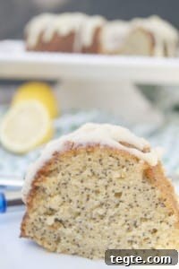Paleo Snickerdoodle Recipe (Gluten-Free Video Tutorial) 9 Lemon Poppy Seed Bundt Cake with Lemon Glaze - GAPS and Paleo friendly.