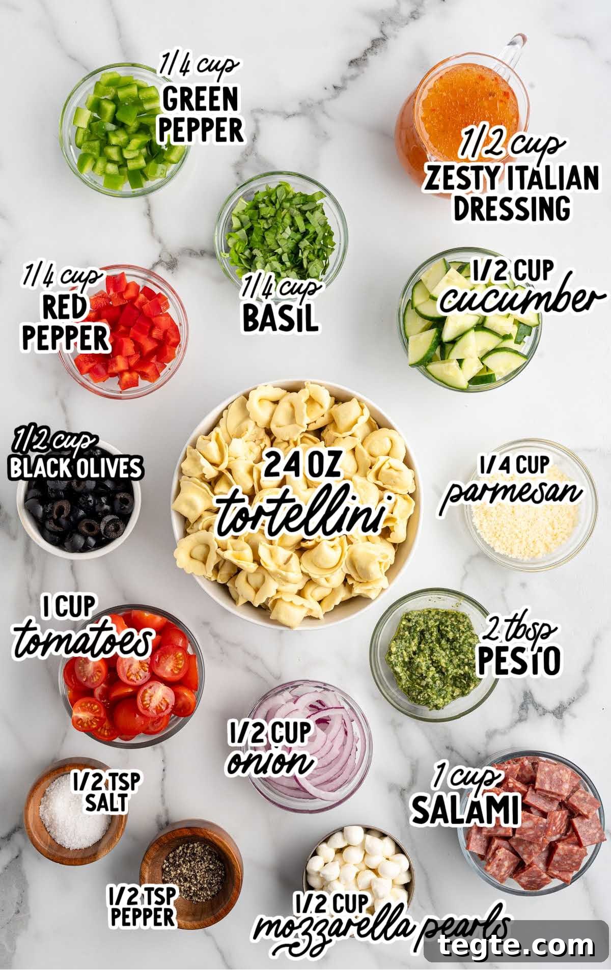Flat lay of measured ingredients for tortellini pasta salad including tortellini, tomatoes, peppers, cucumbers, salami, mozzarella pearls, olives, basil, parmesan, pesto, and Italian dressing.