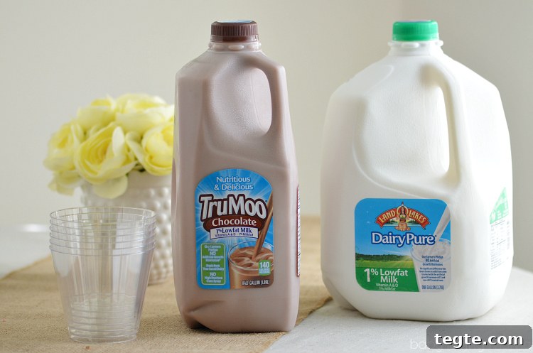 Marshmallow Popcorn Recipe with DIY Spring Treat Bags 7 TruMoo Chocolate Milk and DairyPure Milk
