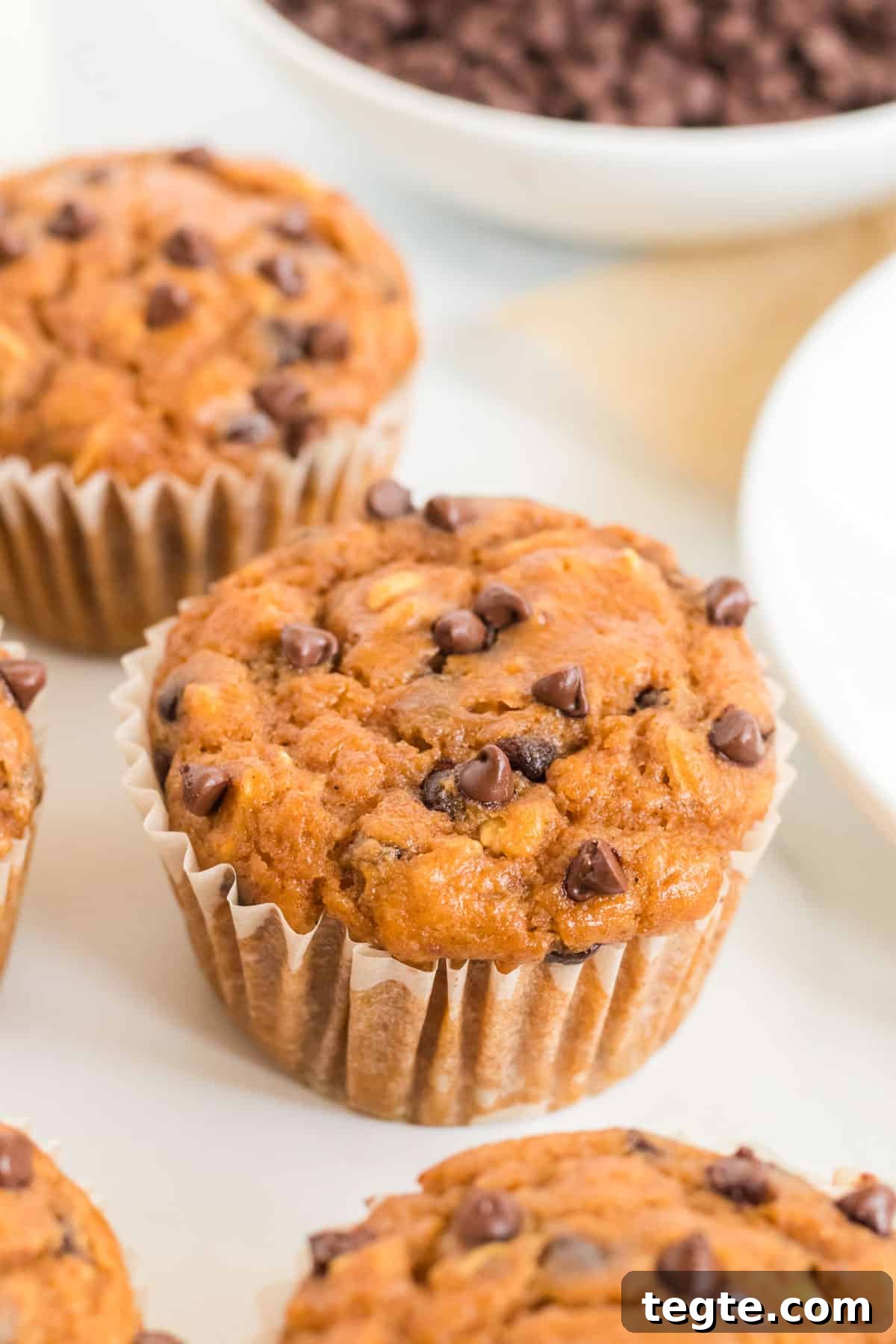 Pumpkin Chocolate Chip Muffins That Stay Moist and Flavorful 2 pumpkin chocolate chip muffins