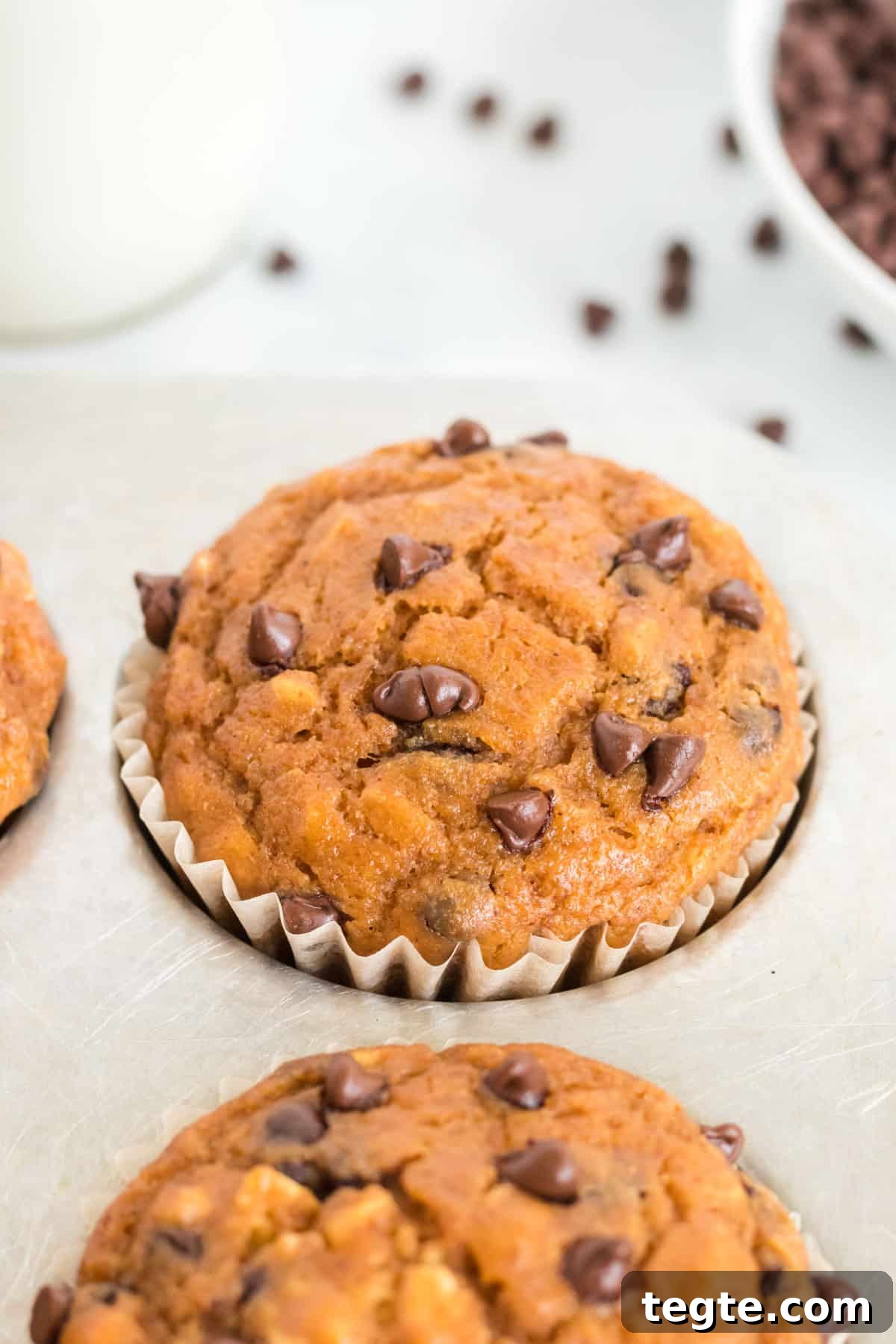 Pumpkin Chocolate Chip Muffins That Stay Moist and Flavorful 11 pumpkin chocolate chip muffin in the baking pan