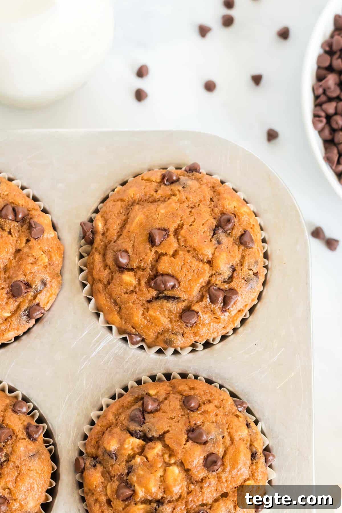 Pumpkin Chocolate Chip Muffins That Stay Moist and Flavorful 13 pumpkin chocolate chip muffin in the baking pan