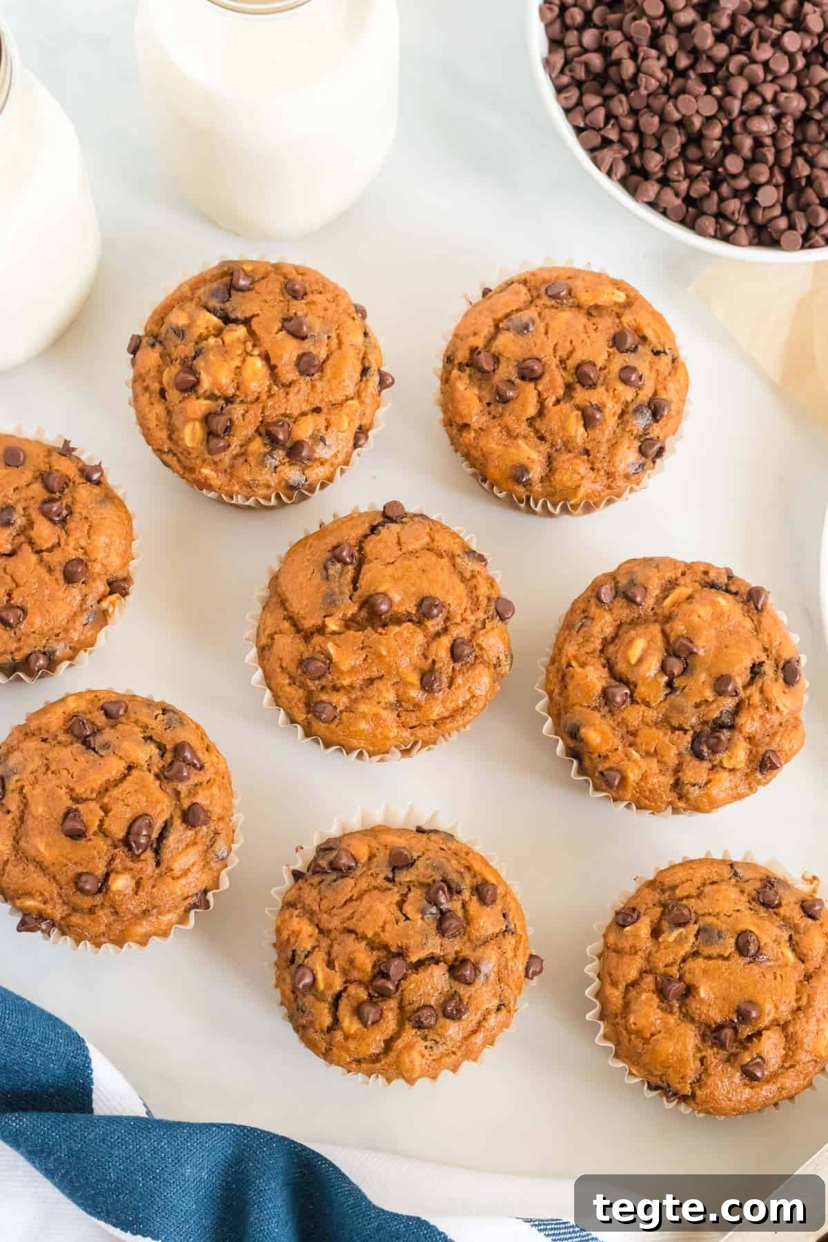 Pumpkin Chocolate Chip Muffins That Stay Moist and Flavorful 14 healthy pumpkin chocolate chip muffins