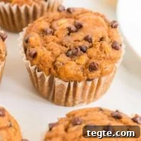 Pumpkin Chocolate Chip Muffins That Stay Moist and Flavorful 16 pumpkin chocolate chip muffins
