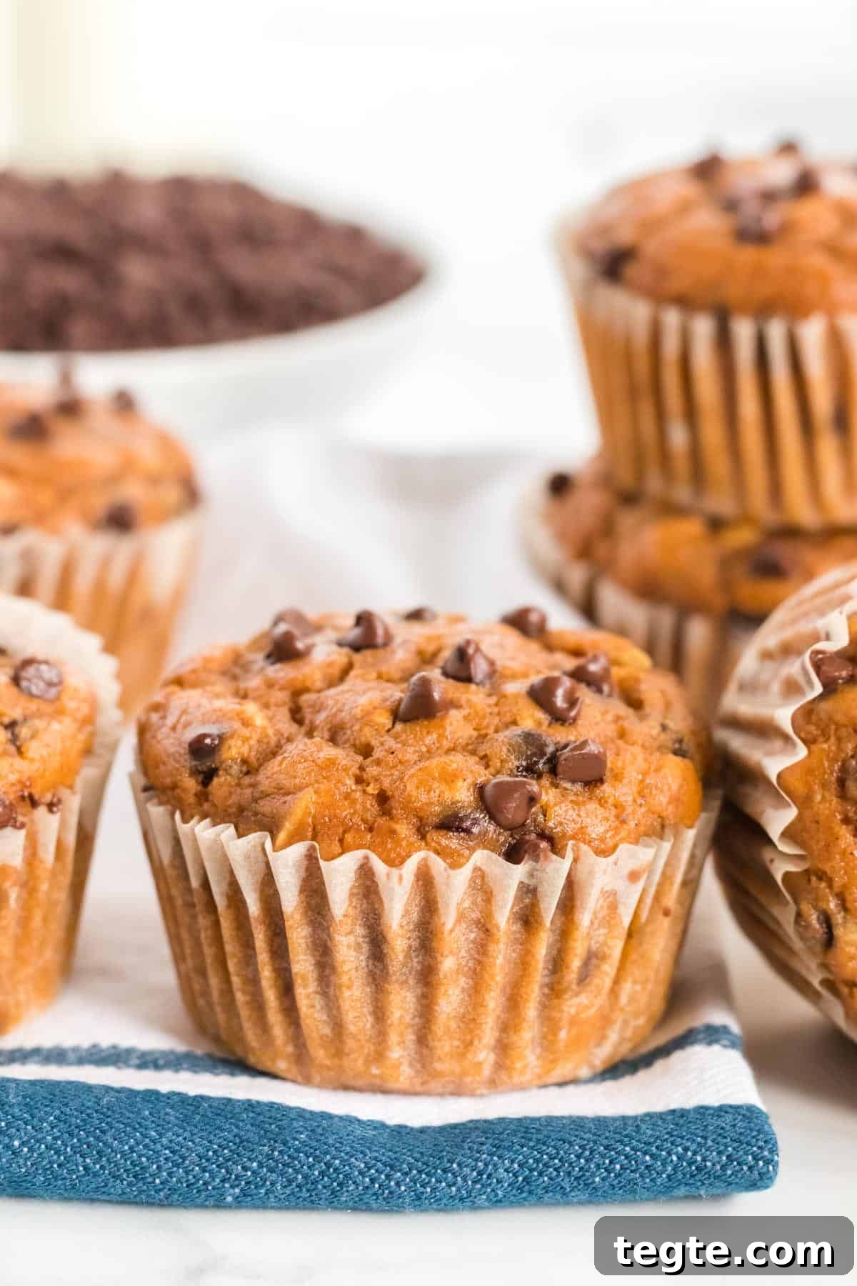 Pumpkin Chocolate Chip Muffins That Stay Moist and Flavorful 3 pumpkin chocolate chip muffins
