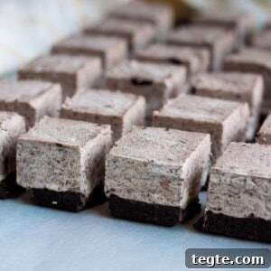 No-Bake Oreo Cheesecake Bites: Creamy Mini Dessert Recipe 2 Rows of no bake Oreo cheesecake bites lined up on a parchment paper.
