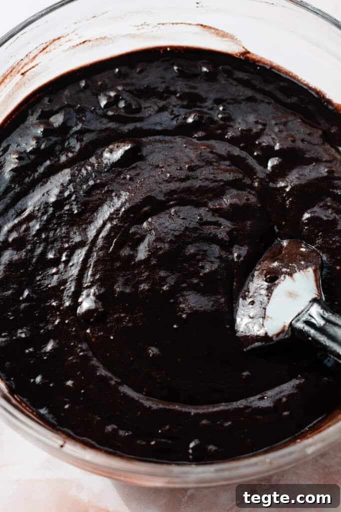Eggless Chocolate Cake with Decadent Chocolate Fudge Frosting 5 A bowl of chocolate cake batter.