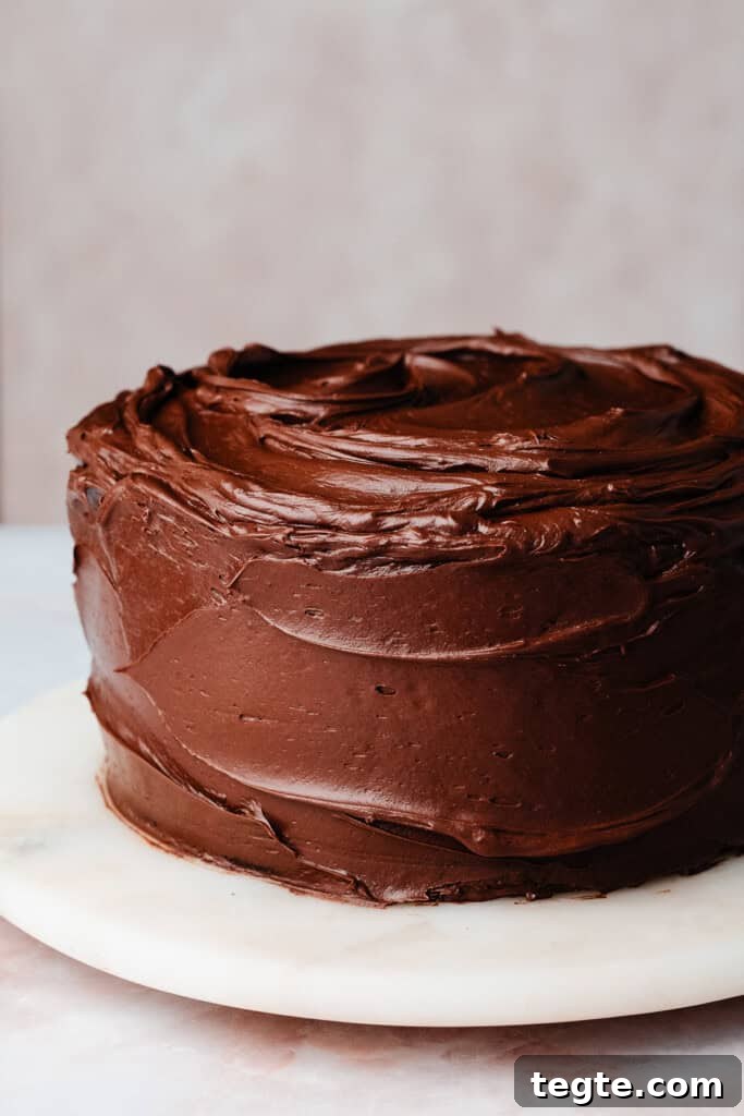 Eggless Chocolate Cake with Decadent Chocolate Fudge Frosting 8 The frosted cake.