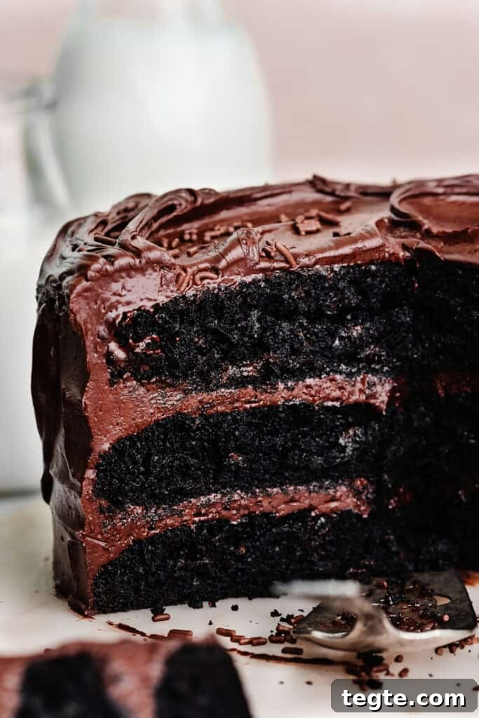 Eggless Chocolate Cake with Decadent Chocolate Fudge Frosting 9 A close-up on the inside of the sliced chocolate cake.
