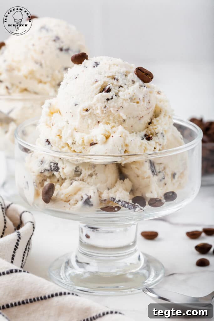 a glass ice cream dish filled with java chip ice cream, topped with coffee beans