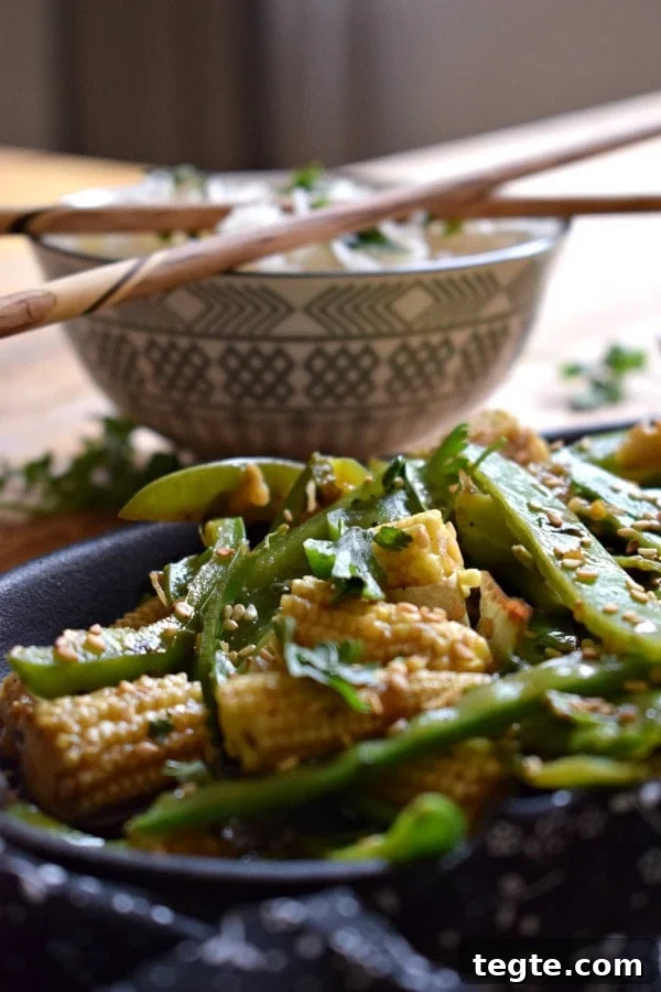 Quick Teriyaki Veg Stir-Fry with Crisp Vegetables and Garlic 5 close up of a Quick Teriyaki Vegetable Stir Fry