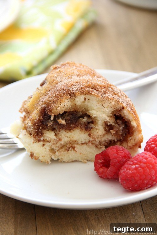 Low-Calorie Coffee Cake Recipe for Guilt-Free Mornings 2 Skinny Coffee Cake on a white plate with raspberries