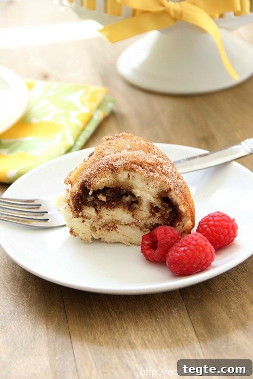 Low-Calorie Coffee Cake Recipe for Guilt-Free Mornings 6 Skinny Coffee Cake on a white plate with raspberries