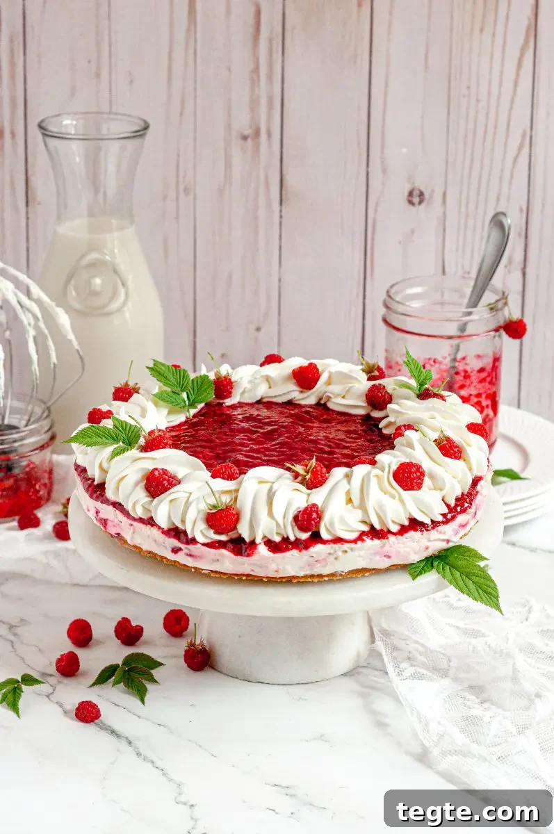 Gluten-Free Vegan Raspberry Cheesecake Recipe 2 A white and light pink raspberry no-bake cheesecake topped with bright red raspberry sauce and a border of bright white whipped cream. There are fresh red raspberries on the whipped cream and a few green raspberry leaves.
