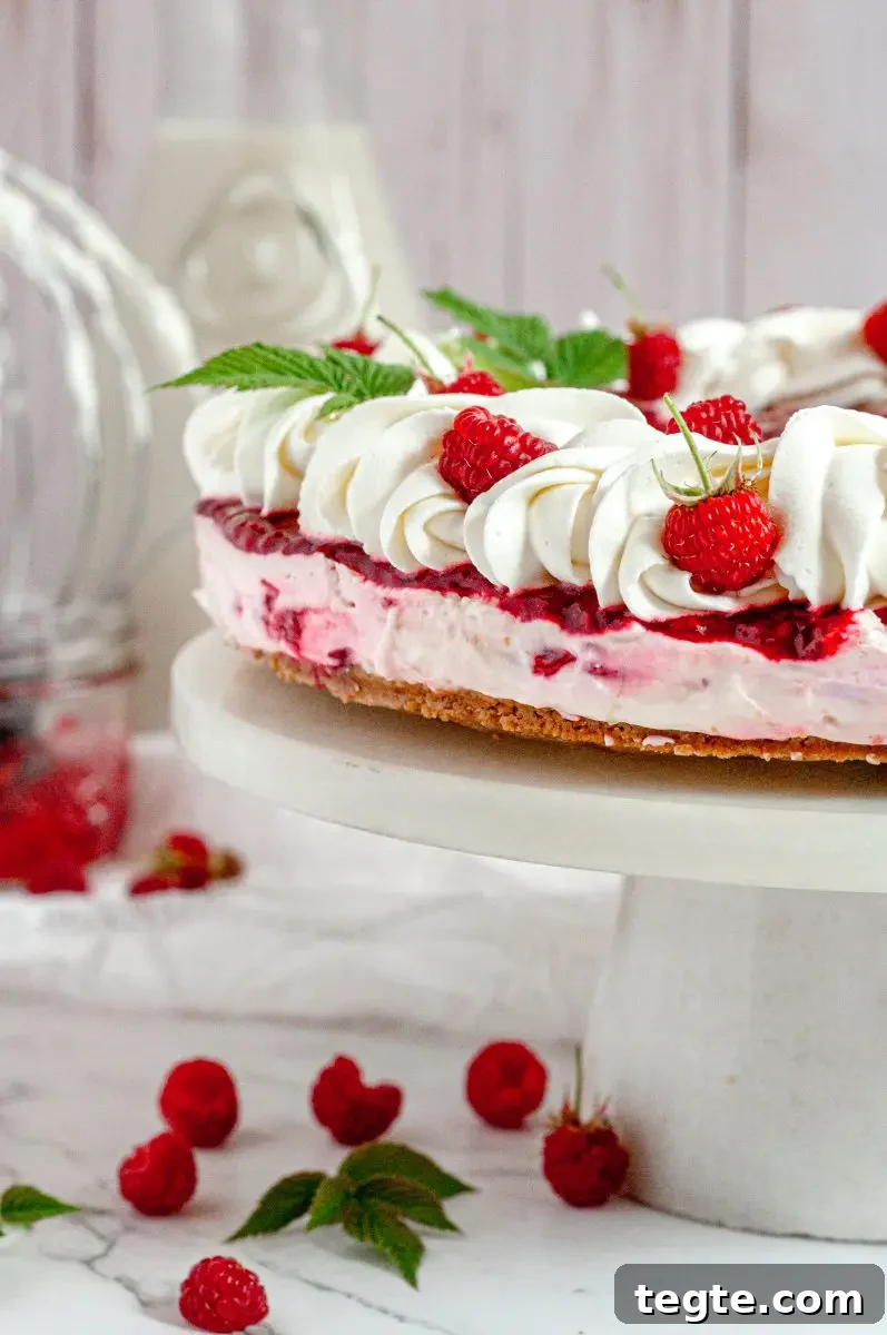 Gluten-Free Vegan Raspberry Cheesecake Recipe 3 A white and light pink raspberry no-bake cheesecake topped with bright red raspberry sauce and a border of bright white whipped cream. There are fresh red raspberries on the whipped cream and a few green raspberry leaves.