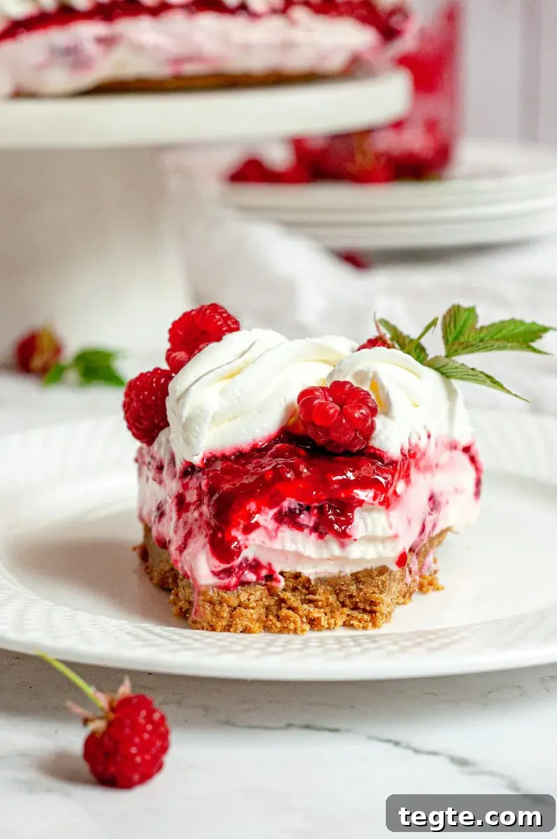 Gluten-Free Vegan Raspberry Cheesecake Recipe 6 A white and light pink raspberry no-bake cheesecake topped with bright red raspberry sauce and a border of bright white whipped cream. There are fresh red raspberries on the whipped cream and a few green raspberry leaves.