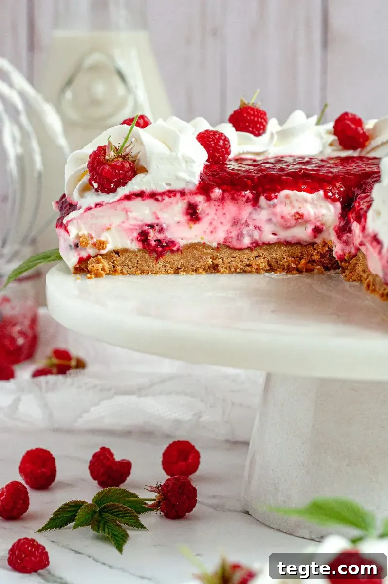Gluten-Free Vegan Raspberry Cheesecake Recipe 7 A white and light pink raspberry no-bake cheesecake topped with bright red raspberry sauce and a border of bright white whipped cream. There are fresh red raspberries on the whipped cream and a few green raspberry leaves.