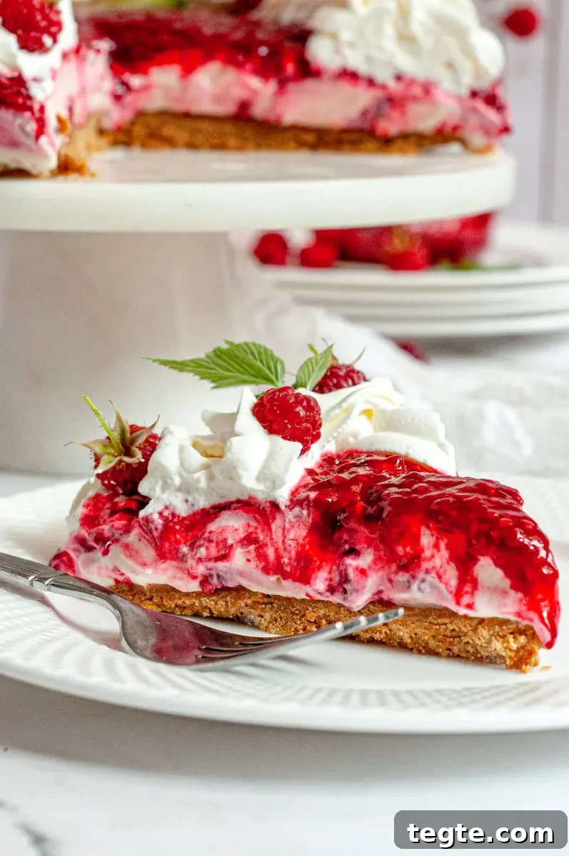 Gluten-Free Vegan Raspberry Cheesecake Recipe 8 A white and light pink raspberry no-bake cheesecake topped with bright red raspberry sauce and a border of bright white whipped cream. There are fresh red raspberries on the whipped cream and a few green raspberry leaves.